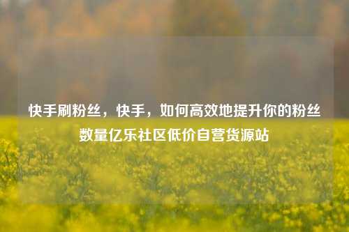 快手刷粉丝	，快手，如何高效地提升你的粉丝数量亿乐社区低价自营货源站  第1张