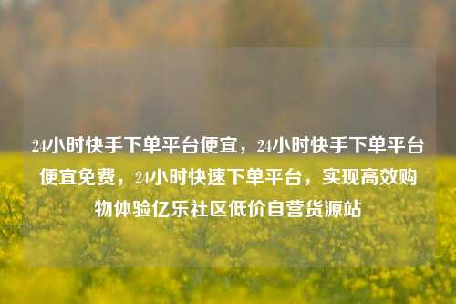 24小时快手下单平台便宜，24小时快手下单平台便宜免费	，24小时快速下单平台，实现高效购物体验亿乐社区低价自营货源站  第1张