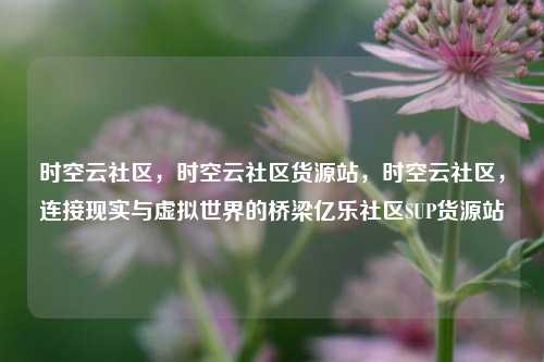 时空云社区，时空云社区货源站，时空云社区	，连接现实与虚拟世界的桥梁亿乐社区SUP货源站  第1张