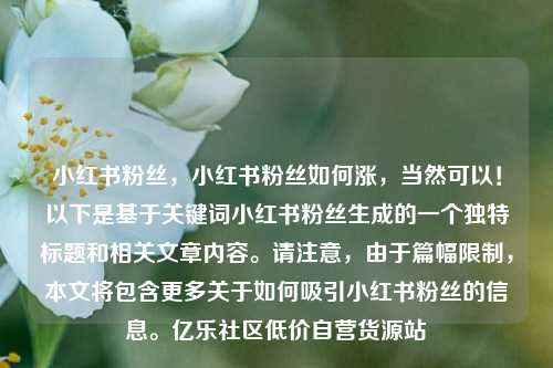 小红书粉丝，小红书粉丝如何涨，当然可以！以下是基于关键词小红书粉丝生成的一个独特标题和相关文章内容。请注意，由于篇幅限制，本文将包含更多关于如何吸引小红书粉丝的信息。亿乐社区低价自营货源站  第1张