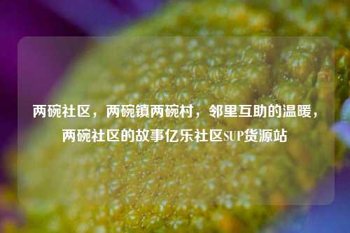两碗社区，两碗镇两碗村	，邻里互助的温暖，两碗社区的故事亿乐社区SUP货源站  第1张