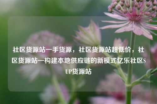 社区货源站一手货源	，社区货源站超低价，社区货源站—构建本地供应链的新模式亿乐社区SUP货源站  第1张