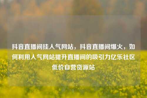抖音直播间挂人气网站，抖音直播间爆火，如何利用人气网站提升直播间的吸引力亿乐社区低价自营货源站  第1张