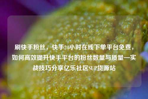 刷快手粉丝，快手24小时在线下单平台免费，如何高效提升快手平台的粉丝数量与质量—实战技巧分享亿乐社区SUP货源站  第1张