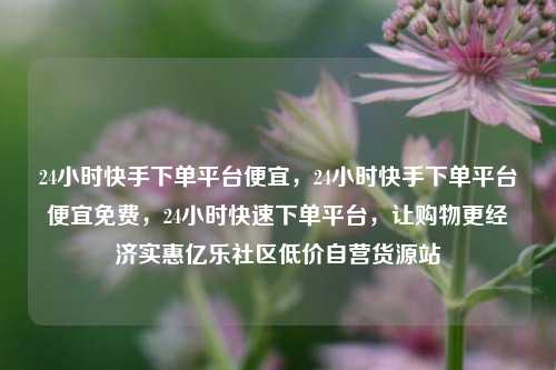 24小时快手下单平台便宜	，24小时快手下单平台便宜免费，24小时快速下单平台，让购物更经济实惠亿乐社区低价自营货源站  第1张