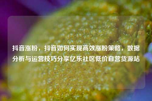 抖音涨粉，抖音如何实现高效涨粉策略，数据分析与运营技巧分享亿乐社区低价自营货源站  第1张