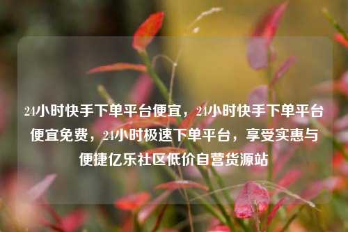 24小时快手下单平台便宜	，24小时快手下单平台便宜免费，24小时极速下单平台，享受实惠与便捷亿乐社区低价自营货源站  第1张