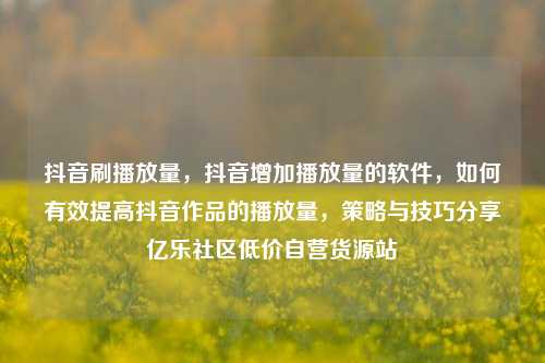 抖音刷播放量，抖音增加播放量的软件，如何有效提高抖音作品的播放量	，策略与技巧分享亿乐社区低价自营货源站  第1张