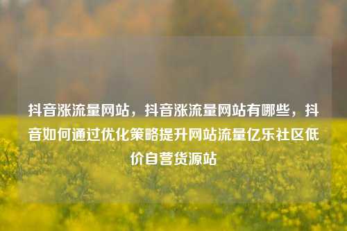 抖音涨流量网站	，抖音涨流量网站有哪些，抖音如何通过优化策略提升网站流量亿乐社区低价自营货源站  第1张