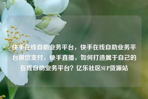 快手在线自助业务平台	，快手在线自助业务平台微信支付，快手直播，如何打造属于自己的在线自助业务平台？亿乐社区SUP货源站  第1张