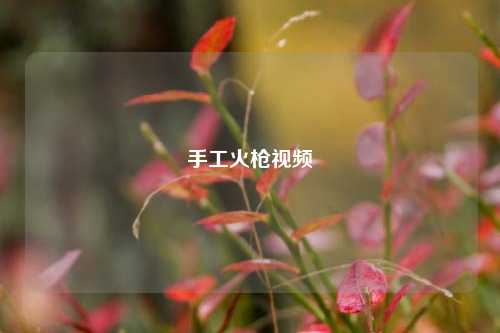 手工火枪视频  第1张