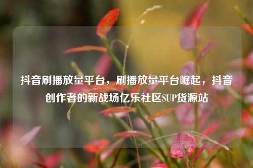 抖音刷播放量平台，刷播放量平台崛起，抖音创作者的新战场亿乐社区SUP货源站  第1张