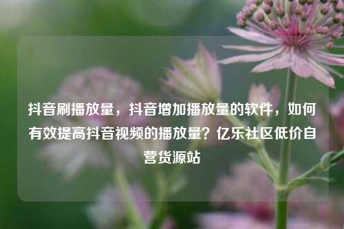 抖音刷播放量，抖音增加播放量的软件，如何有效提高抖音视频的播放量？亿乐社区低价自营货源站  第1张