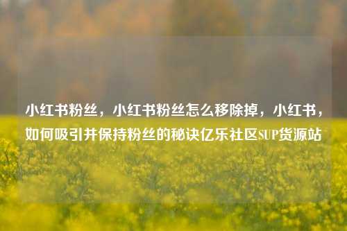 小红书粉丝，小红书粉丝怎么移除掉，小红书，如何吸引并保持粉丝的秘诀亿乐社区SUP货源站  第1张