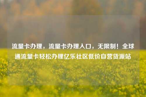 流量卡办理，流量卡办理入口	，无限制！全球通流量卡轻松办理亿乐社区低价自营货源站  第1张