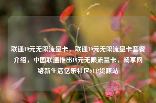 联通19元无限流量卡	，联通19元无限流量卡套餐介绍，中国联通推出19元无限流量卡，畅享网络新生活亿乐社区SUP货源站  第1张