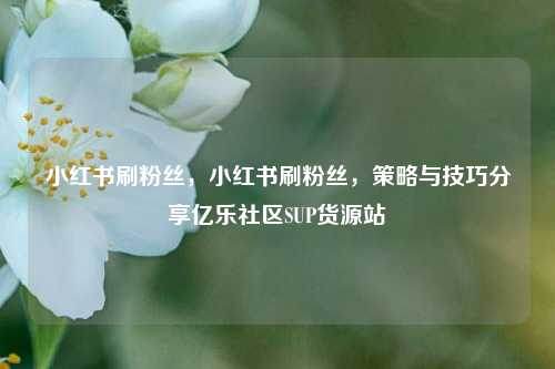 小红书刷粉丝，小红书刷粉丝，策略与技巧分享亿乐社区SUP货源站  第1张