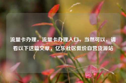 流量卡办理，流量卡办理入口	，当然可以，请看以下这篇文章，亿乐社区低价自营货源站  第1张