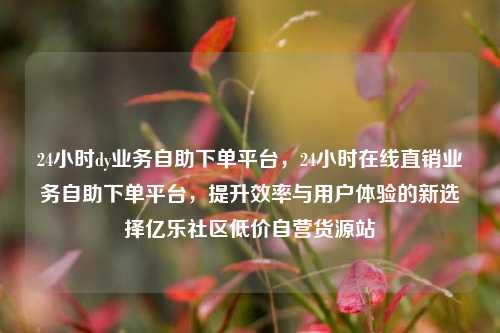 24小时dy业务自助下单平台，24小时在线直销业务自助下单平台	，提升效率与用户体验的新选择亿乐社区低价自营货源站  第1张