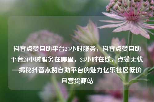 抖音点赞自助平台24小时服务	，抖音点赞自助平台24小时服务在哪里，24小时在线，点赞无忧—揭秘抖音点赞自助平台的魅力亿乐社区低价自营货源站  第1张