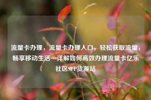 流量卡办理，流量卡办理入口	，轻松获取流量，畅享移动生活—详解如何高效办理流量卡亿乐社区SUP货源站  第1张
