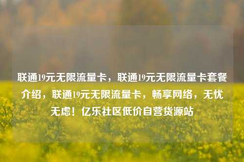 联通19元无限流量卡	，联通19元无限流量卡套餐介绍，联通19元无限流量卡，畅享网络	，无忧无虑！亿乐社区低价自营货源站  第1张