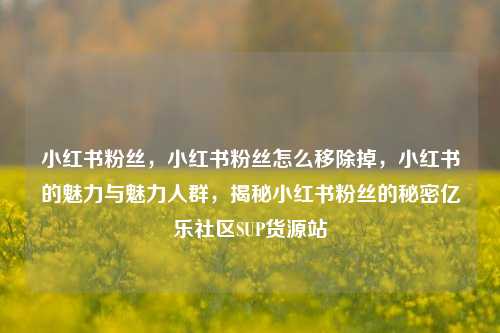 小红书粉丝	，小红书粉丝怎么移除掉，小红书的魅力与魅力人群，揭秘小红书粉丝的秘密亿乐社区SUP货源站  第1张