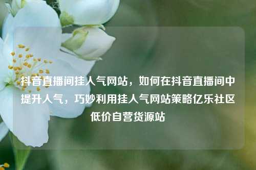 抖音直播间挂人气网站	，如何在抖音直播间中提升人气，巧妙利用挂人气网站策略亿乐社区低价自营货源站  第1张
