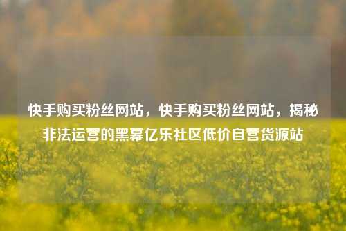 快手购买粉丝网站	，快手购买粉丝网站，揭秘非法运营的黑幕亿乐社区低价自营货源站  第1张