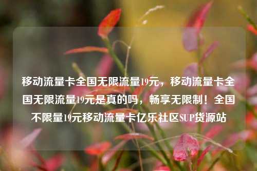 移动流量卡全国无限流量19元，移动流量卡全国无限流量19元是真的吗	，畅享无限制！全国不限量19元移动流量卡亿乐社区SUP货源站  第1张
