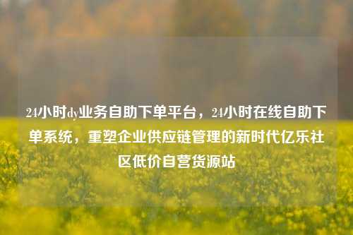 24小时dy业务自助下单平台，24小时在线自助下单系统，重塑企业供应链管理的新时代亿乐社区低价自营货源站  第1张