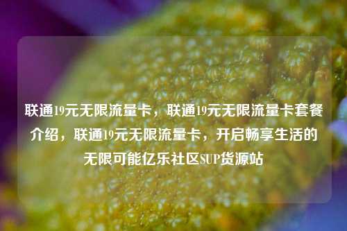 联通19元无限流量卡，联通19元无限流量卡套餐介绍，联通19元无限流量卡	，开启畅享生活的无限可能亿乐社区SUP货源站  第1张