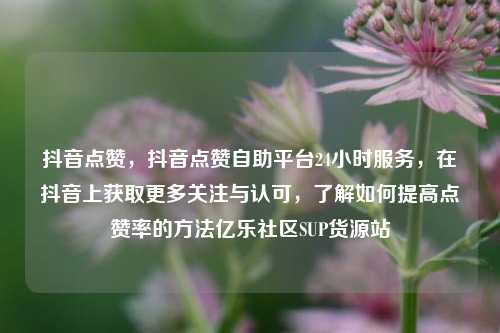 抖音点赞，抖音点赞自助平台24小时服务，在抖音上获取更多关注与认可	，了解如何提高点赞率的方法亿乐社区SUP货源站  第1张
