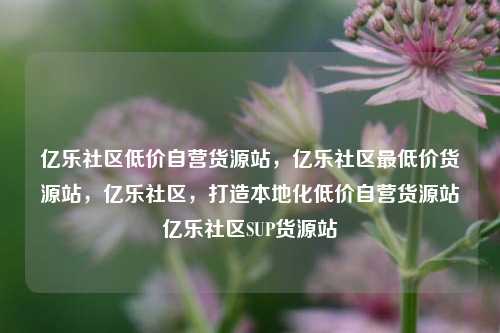 亿乐社区低价自营货源站	，亿乐社区最低价货源站，亿乐社区，打造本地化低价自营货源站亿乐社区SUP货源站  第1张