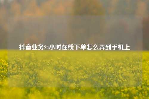 抖音业务24小时在线下单怎么弄到手机上  第1张