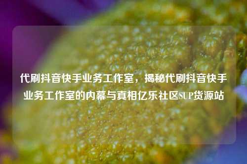 代刷抖音快手业务工作室，揭秘代刷抖音快手业务工作室的内幕与真相亿乐社区SUP货源站  第1张