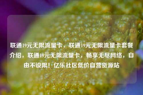 联通19元无限流量卡	，联通19元无限流量卡套餐介绍，联通19元无限流量卡，畅享无尽网络	，自由不设限！亿乐社区低价自营货源站  第1张