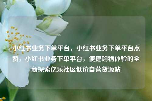 小红书业务下单平台，小红书业务下单平台点赞	，小红书业务下单平台，便捷购物体验的全新探索亿乐社区低价自营货源站  第1张