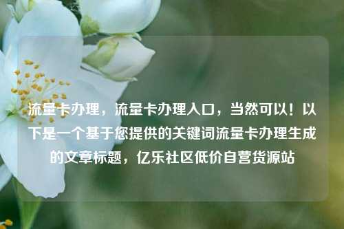 流量卡办理，流量卡办理入口	，当然可以！以下是一个基于您提供的关键词流量卡办理生成的文章标题，亿乐社区低价自营货源站  第1张