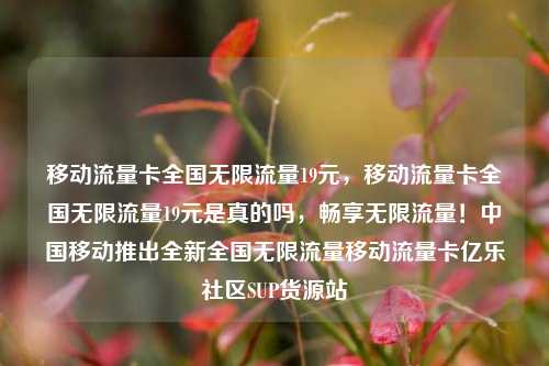 移动流量卡全国无限流量19元，移动流量卡全国无限流量19元是真的吗	，畅享无限流量！中国移动推出全新全国无限流量移动流量卡亿乐社区SUP货源站  第1张