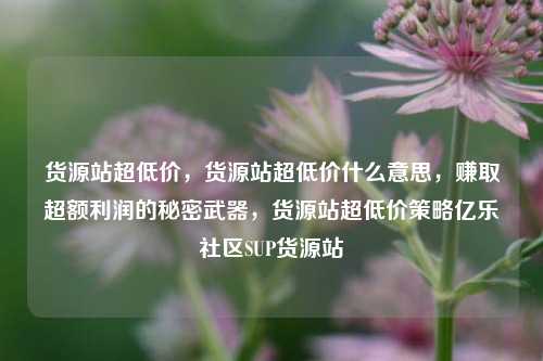 货源站超低价，货源站超低价什么意思	，赚取超额利润的秘密武器，货源站超低价策略亿乐社区SUP货源站  第1张