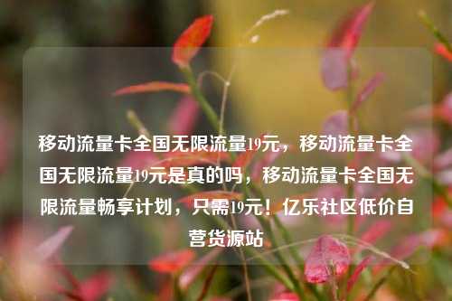 移动流量卡全国无限流量19元，移动流量卡全国无限流量19元是真的吗	，移动流量卡全国无限流量畅享计划，只需19元！亿乐社区低价自营货源站  第1张