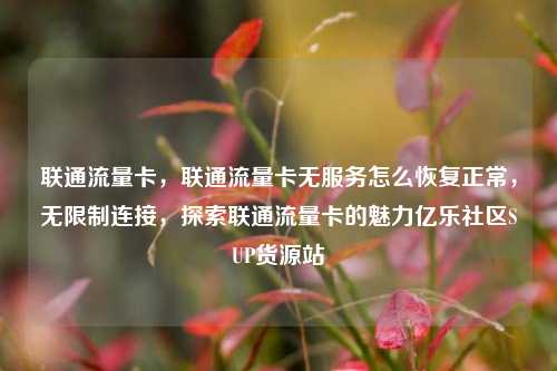 联通流量卡，联通流量卡无服务怎么恢复正常，无限制连接	，探索联通流量卡的魅力亿乐社区SUP货源站  第1张