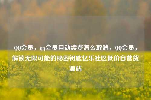 QQ会员，qq会员自动续费怎么取消	，QQ会员，解锁无限可能的秘密钥匙亿乐社区低价自营货源站  第1张