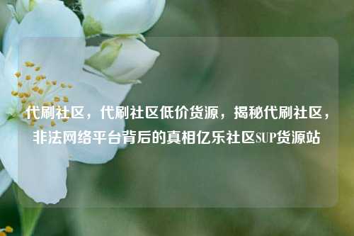 代刷社区，代刷社区低价货源	，揭秘代刷社区，非法网络平台背后的真相亿乐社区SUP货源站  第1张