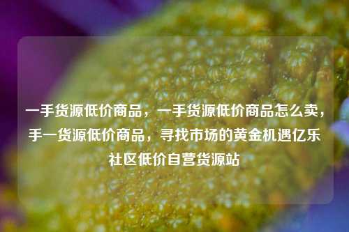 一手货源低价商品	，一手货源低价商品怎么卖，手一货源低价商品，寻找市场的黄金机遇亿乐社区低价自营货源站  第1张