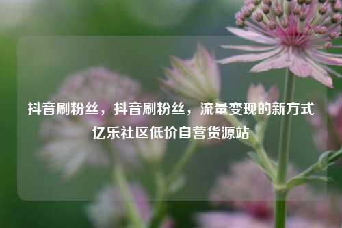 抖音刷粉丝，抖音刷粉丝，流量变现的新方式亿乐社区低价自营货源站  第1张