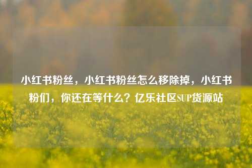 小红书粉丝	，小红书粉丝怎么移除掉，小红书粉们，你还在等什么？亿乐社区SUP货源站  第1张