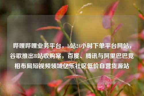 哔哩哔哩业务平台，b站24小时下单平台网站，谷歌推出B站收购案	，百度	、腾讯与阿里巴巴竞相布局短视频领域亿乐社区低价自营货源站  第1张