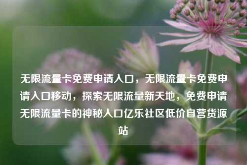 无限流量卡免费申请入口，无限流量卡免费申请入口移动，探索无限流量新天地	，免费申请无限流量卡的神秘入口亿乐社区低价自营货源站  第1张